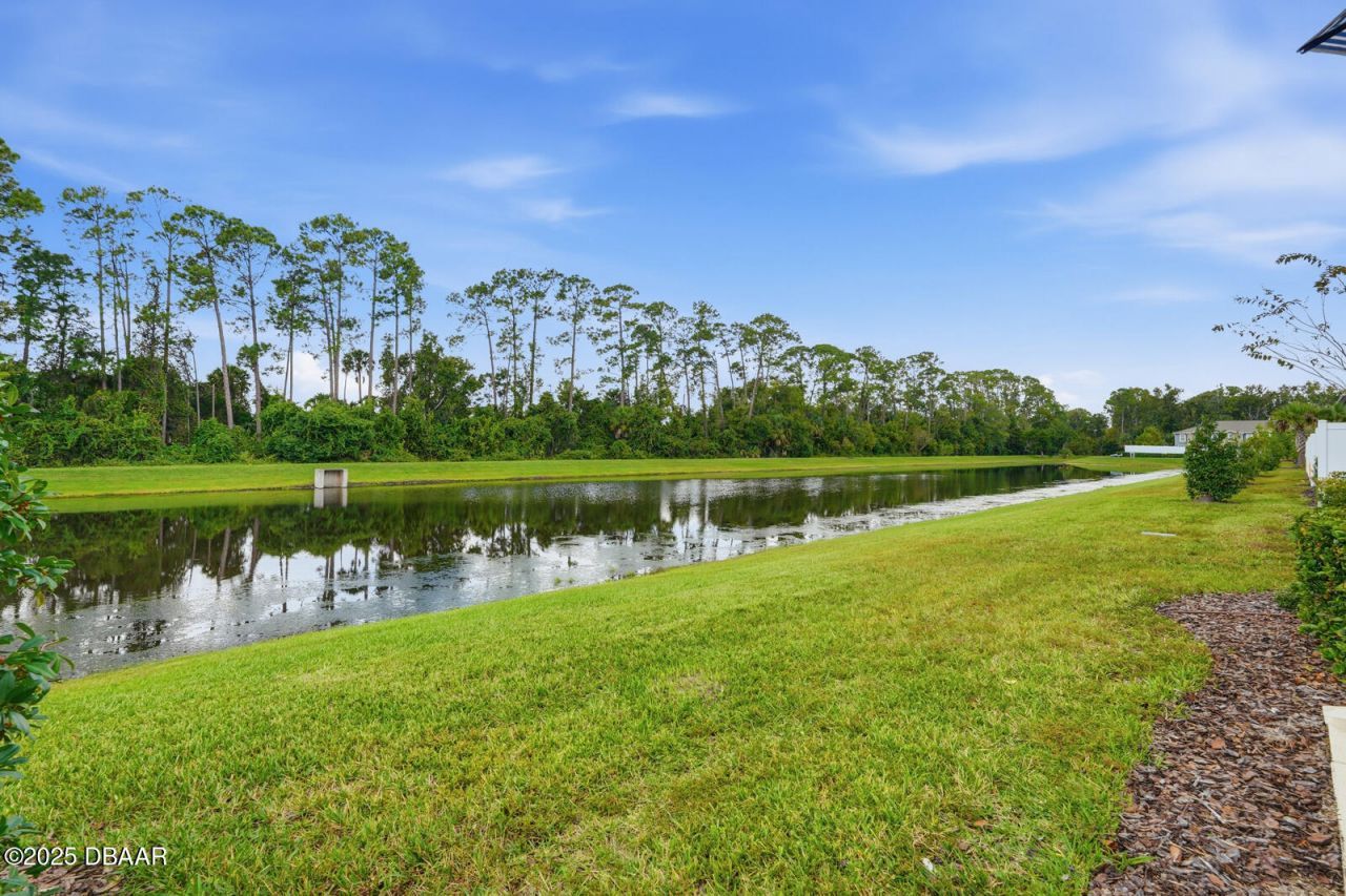 60 Bella Lago Circle, Port Orange, FL 32129 Photo