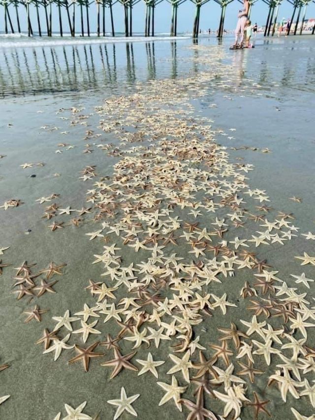 200 Double Eagle Dr. Photo 45