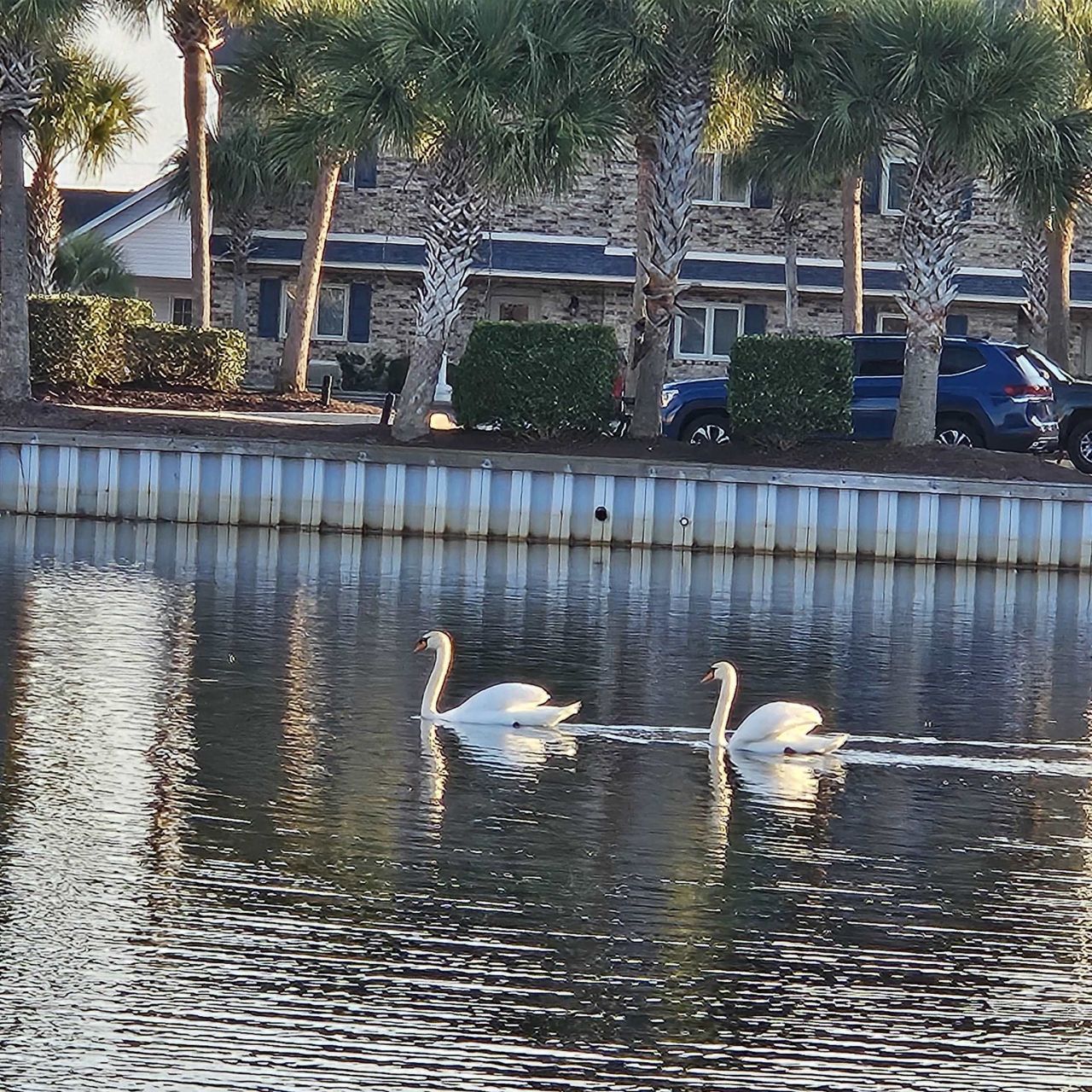 200 Double Eagle Dr. Photo 47