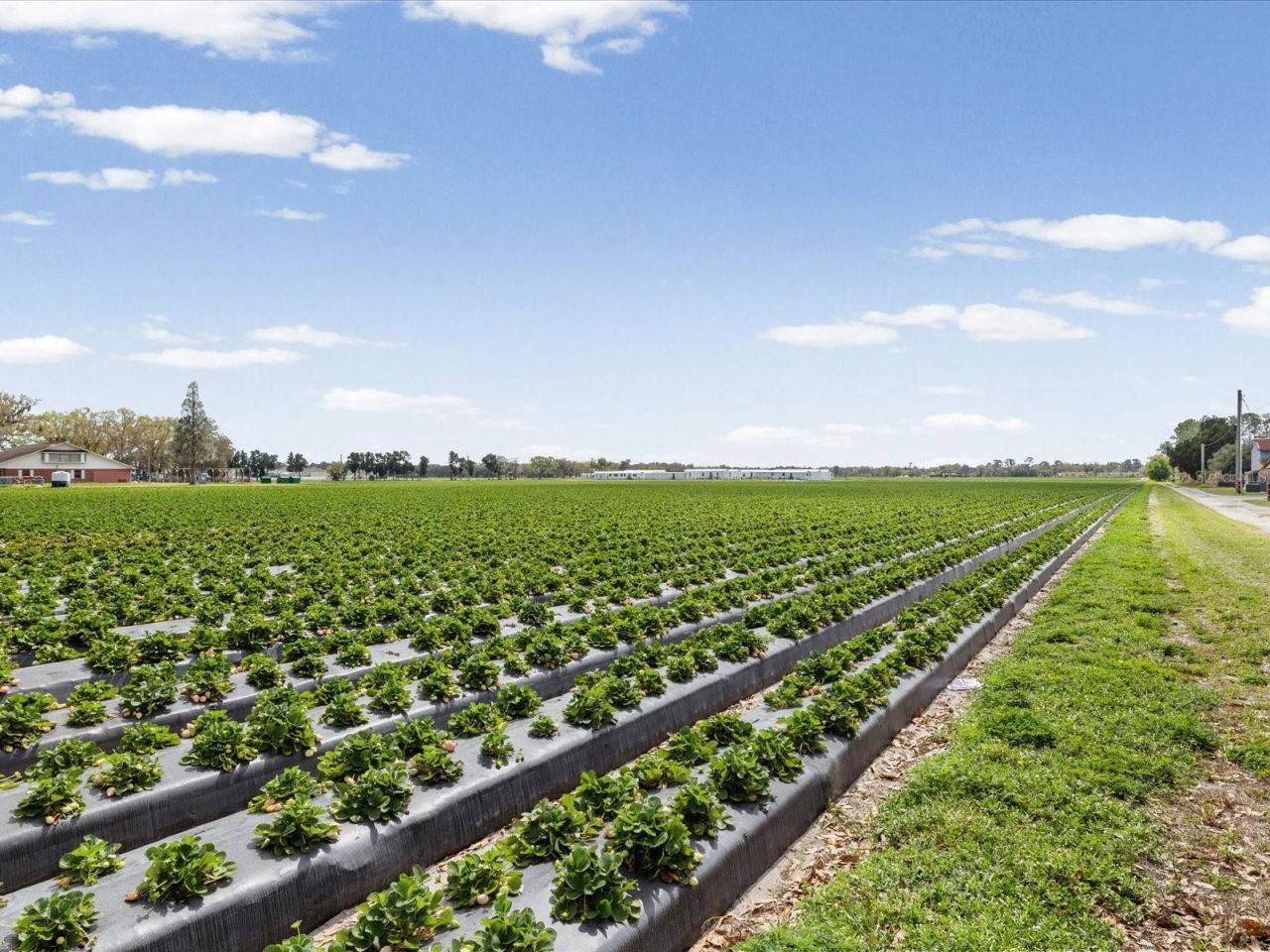 3135 S Northview Road, Plant City, FL 33566 Photo