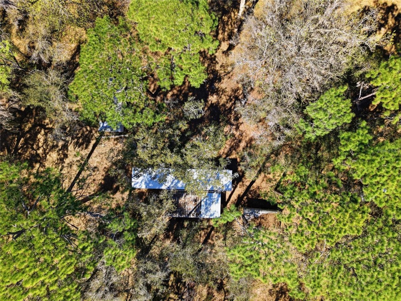 13401 Palm Drive , Astatula, FL 34705 Photo