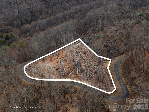 99999 Winterberry Road , Burnsville, NC 28714