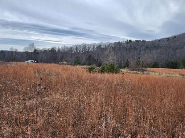 Lot 4 Sontag RD, Rocky Mount, VA 24151