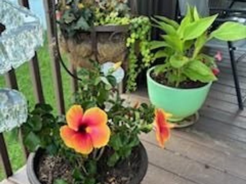 11392 Hollow Oak, Miami Township, OH 45342 Photo 14