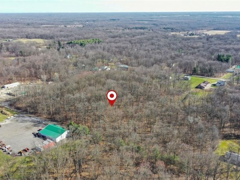 Rockwood Road , Windsor, OH 44099 Photo 18