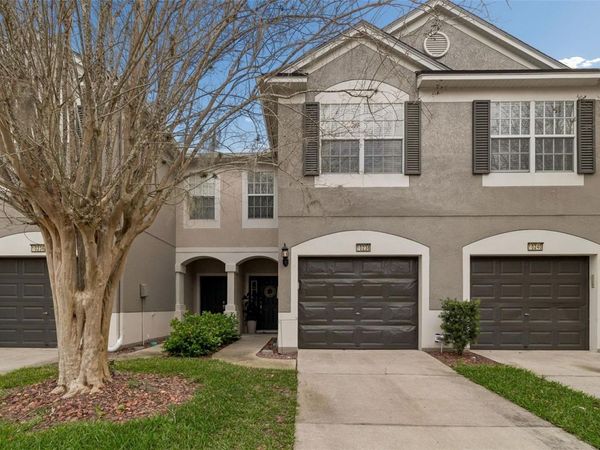 10238 ESTERO BAY LANE , TAMPA, FL 33625