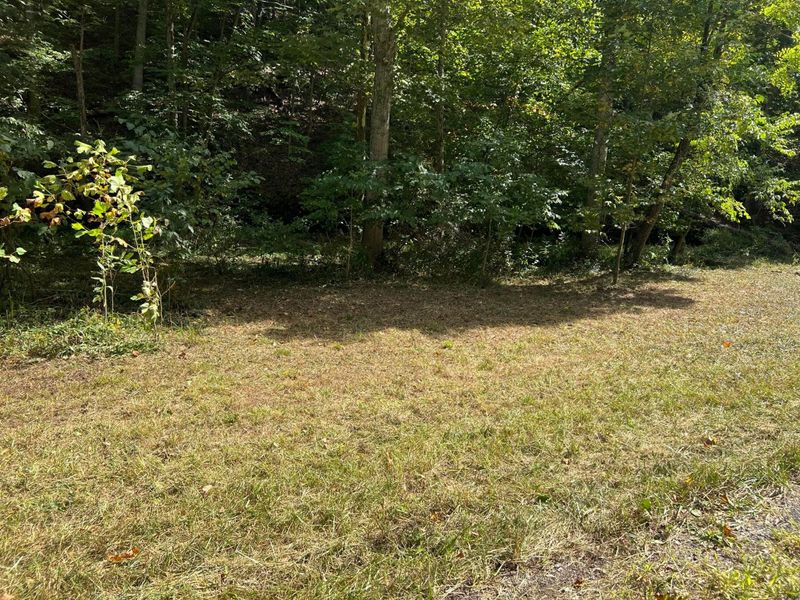 0 Goose Creek Road, South Bloomingville, OH 43152 Photo 2