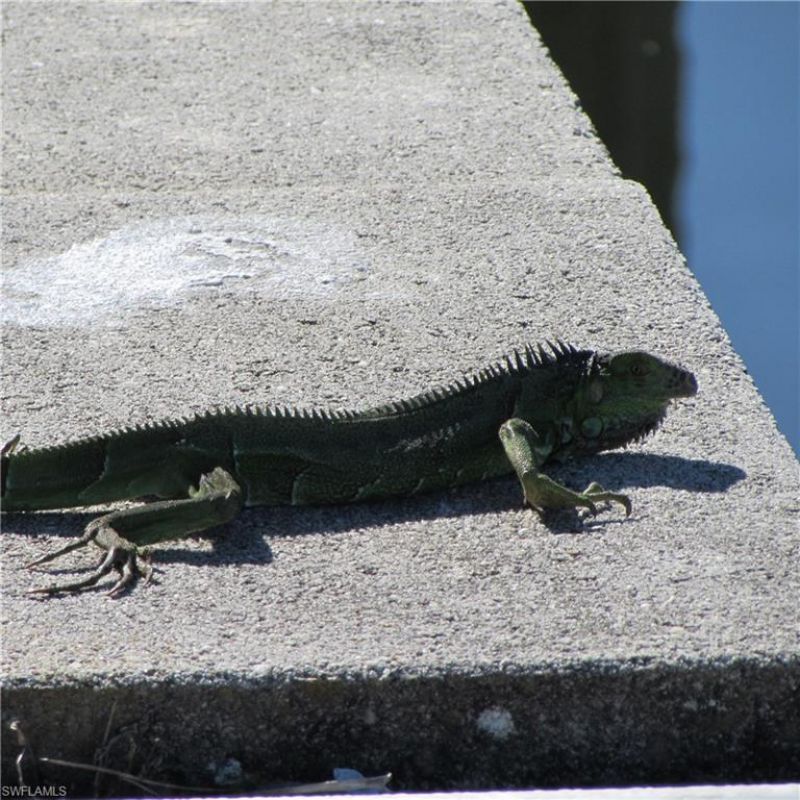 5004 Gulfgate Ln , Other, FL 33956 Photo