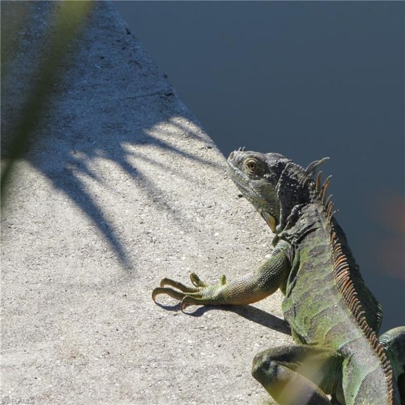 5004 Gulfgate Ln , Other, FL 33956 Photo