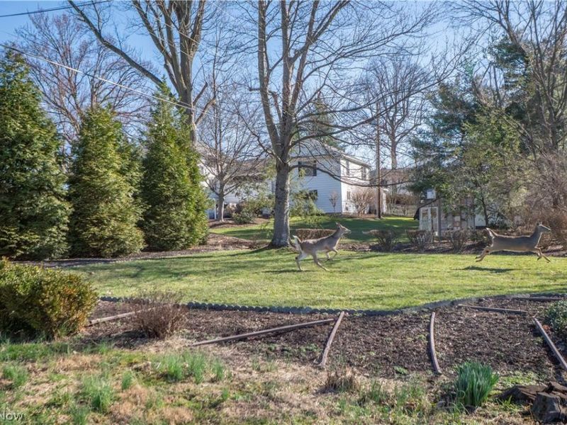 425 Santa Clara Street NW, Canton, OH 44709 Photo 38