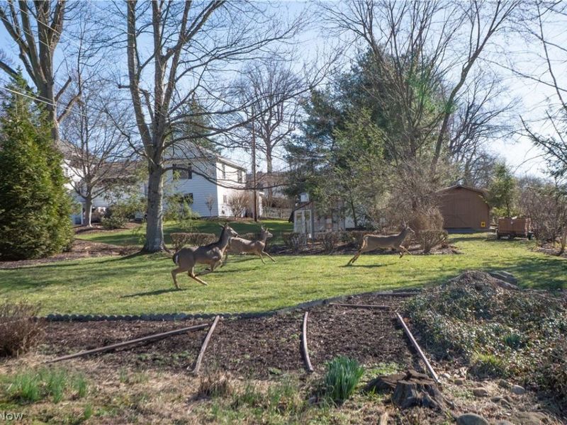 425 Santa Clara Street NW, Canton, OH 44709 Photo 39