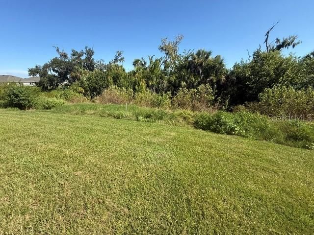 4321 Silver Birch Court, Palmetto, FL 34221 Photo