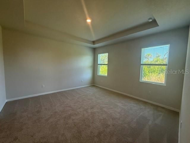 4321 Silver Birch Court, Palmetto, FL 34221 Photo