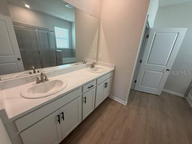 4321 Silver Birch Court, Palmetto, FL 34221 Photo