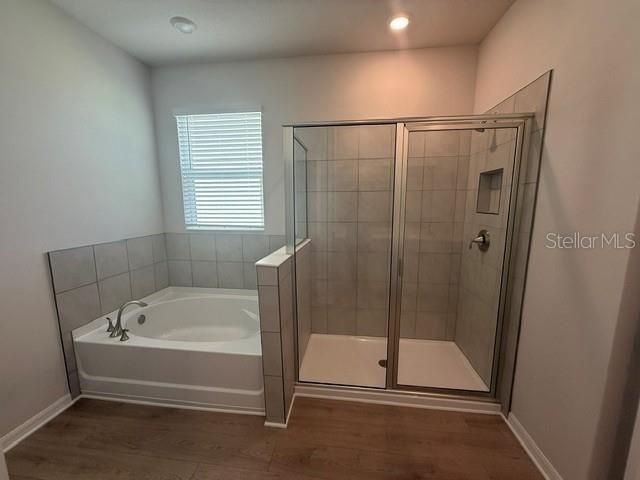 4321 Silver Birch Court, Palmetto, FL 34221 Photo