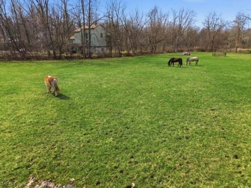 7640 S Eastland Road, Middleburg Heights, OH 44017 Photo 11