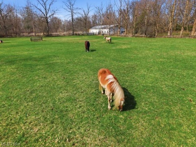 7640 S Eastland Road, Middleburg Heights, OH 44017 Photo 12