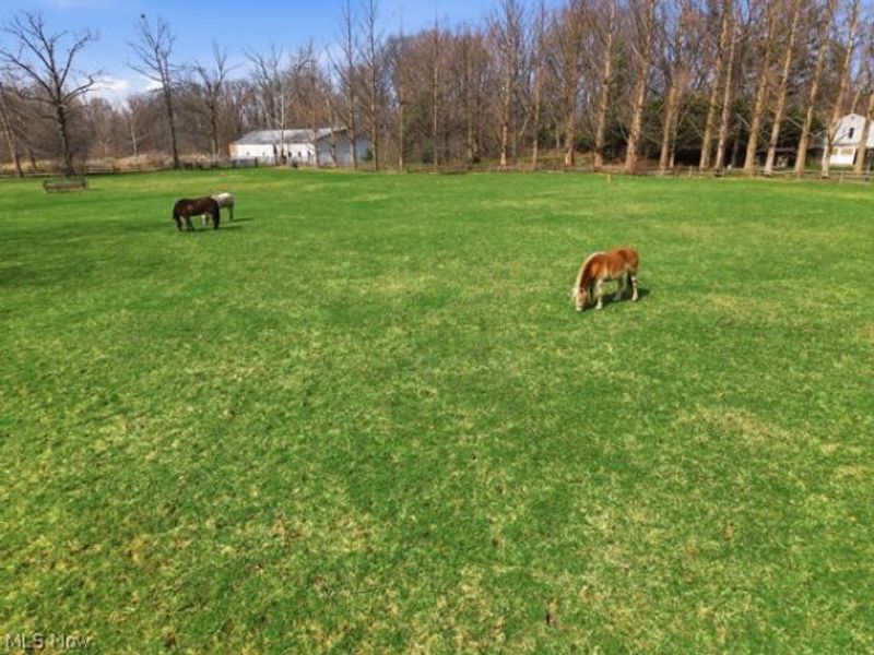 7640 S Eastland Road, Middleburg Heights, OH 44017 Photo 14