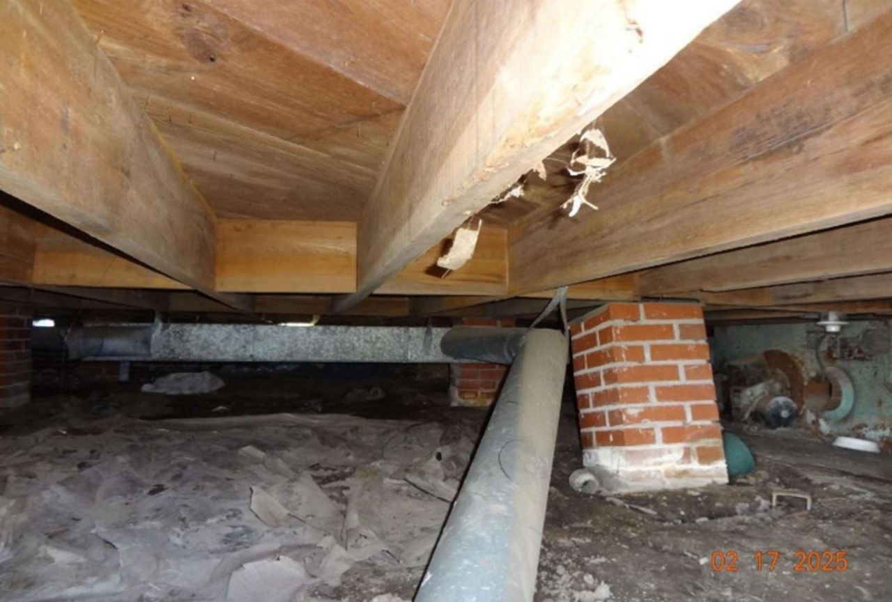 12 E Sassafras St. Photo 21