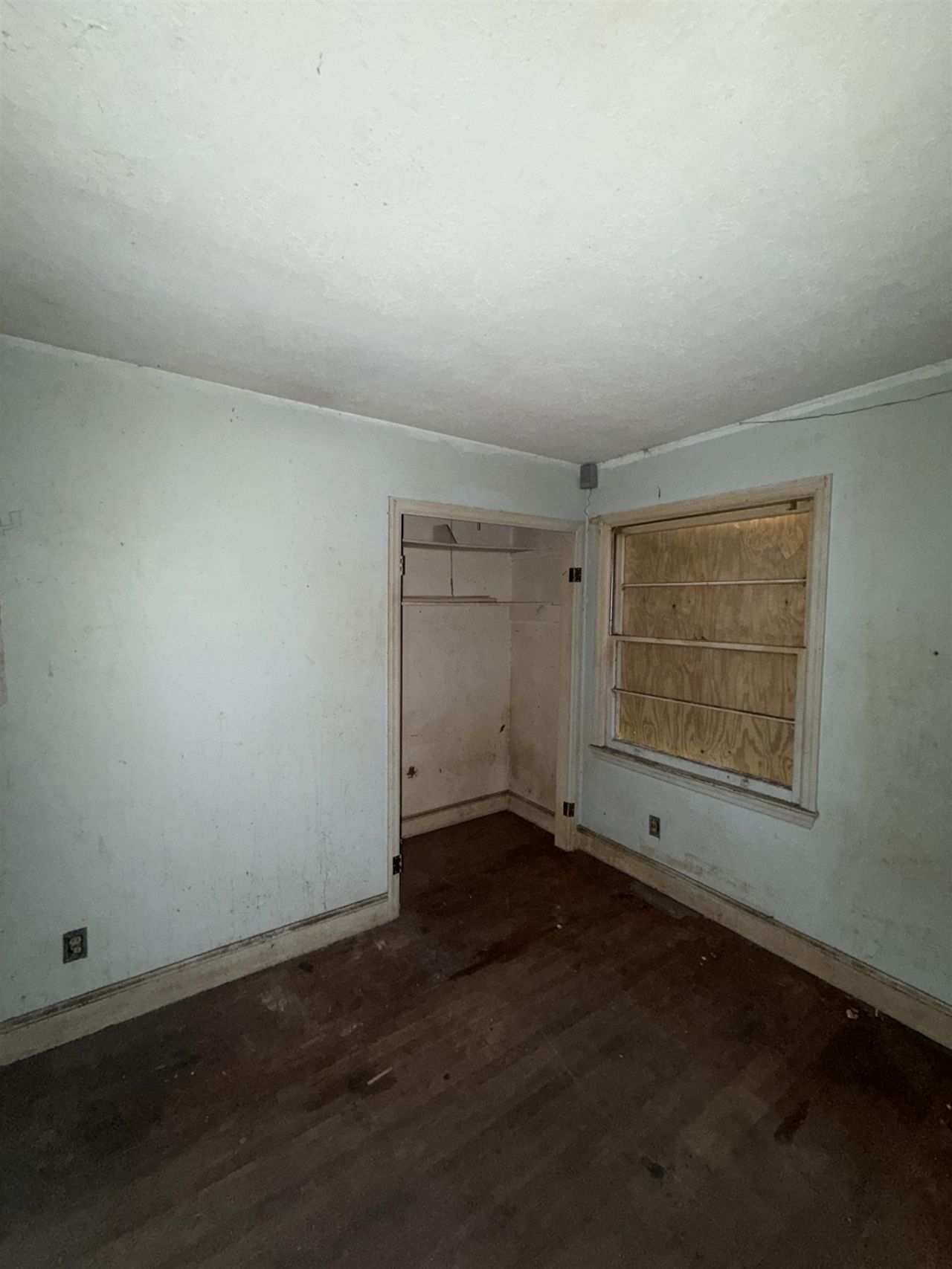 12 E Sassafras St. Photo 5