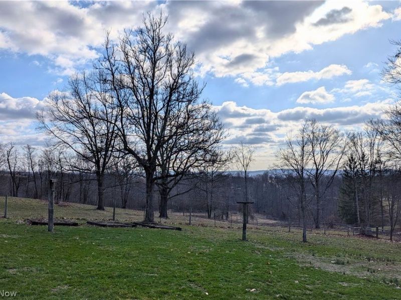 5171 Avon Road NE, Carrollton, OH 44615 Photo 27