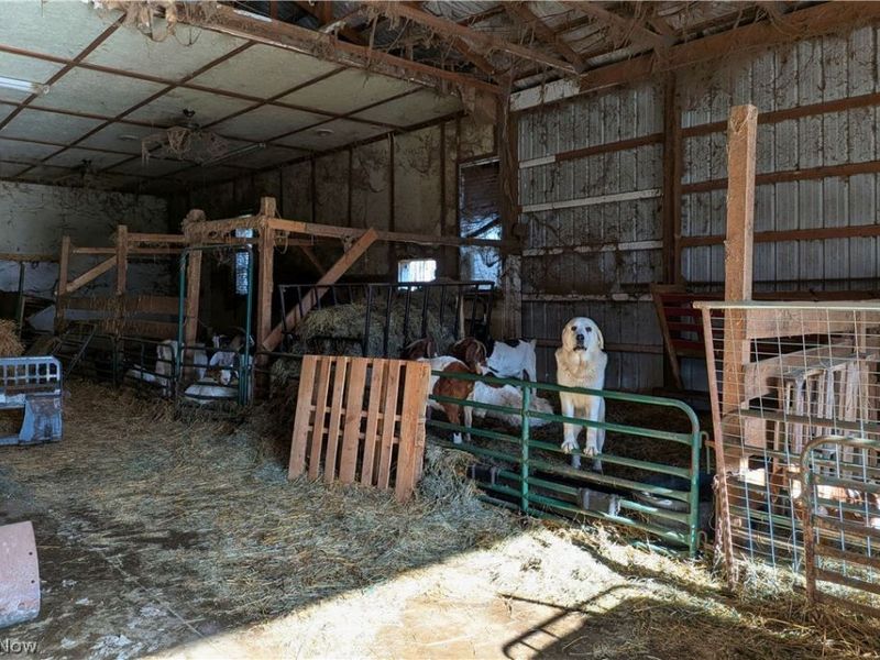 5171 Avon Road NE, Carrollton, OH 44615 Photo 33