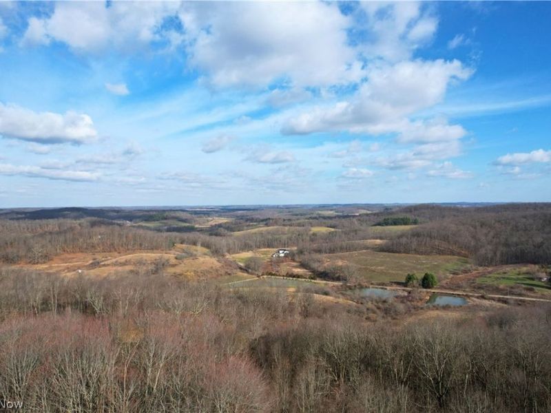 5171 Avon Road NE, Carrollton, OH 44615 Photo 39