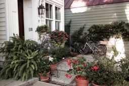 17 West Street photo 4