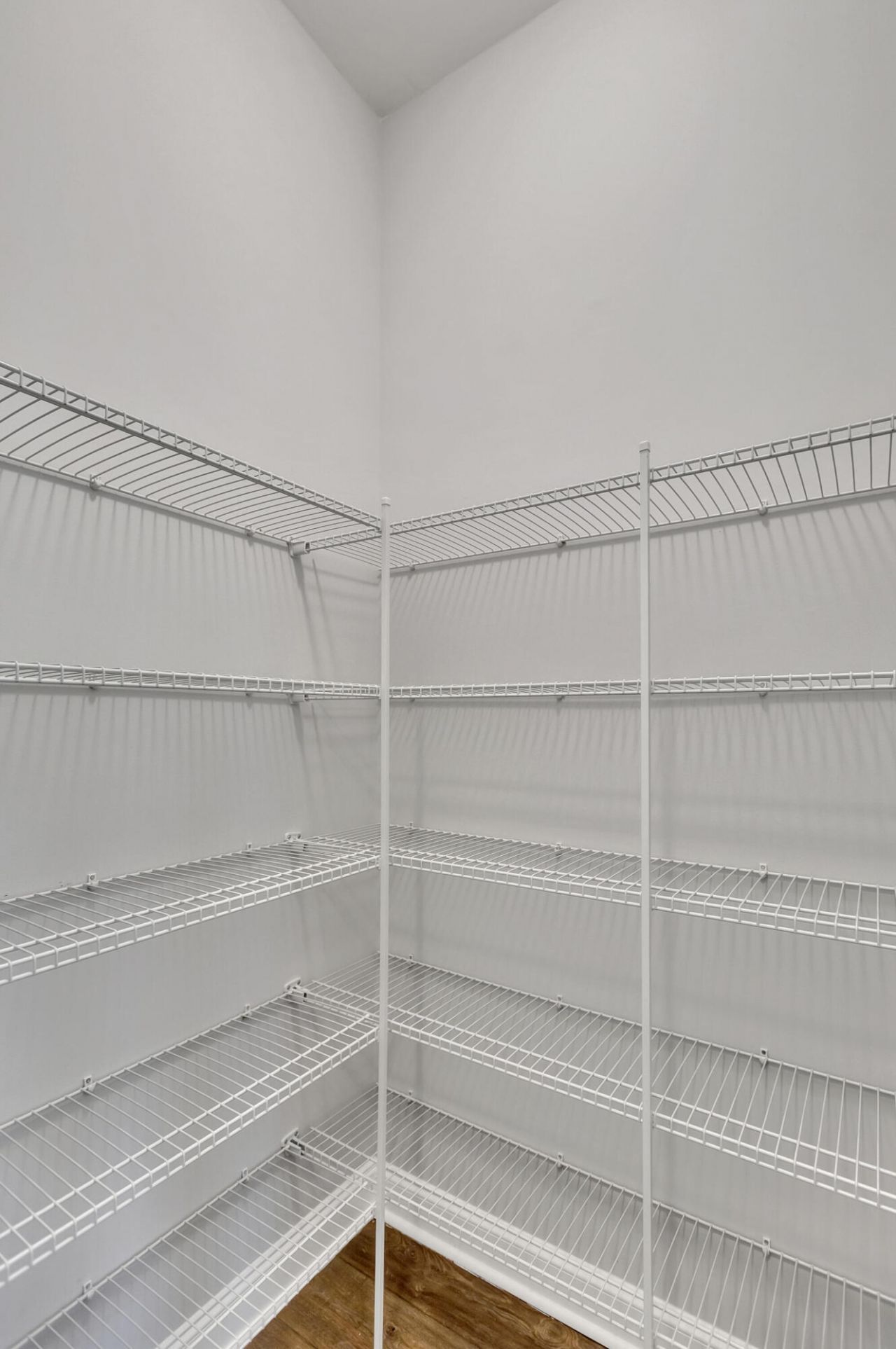 3663 Spindrift Drive Photo 21