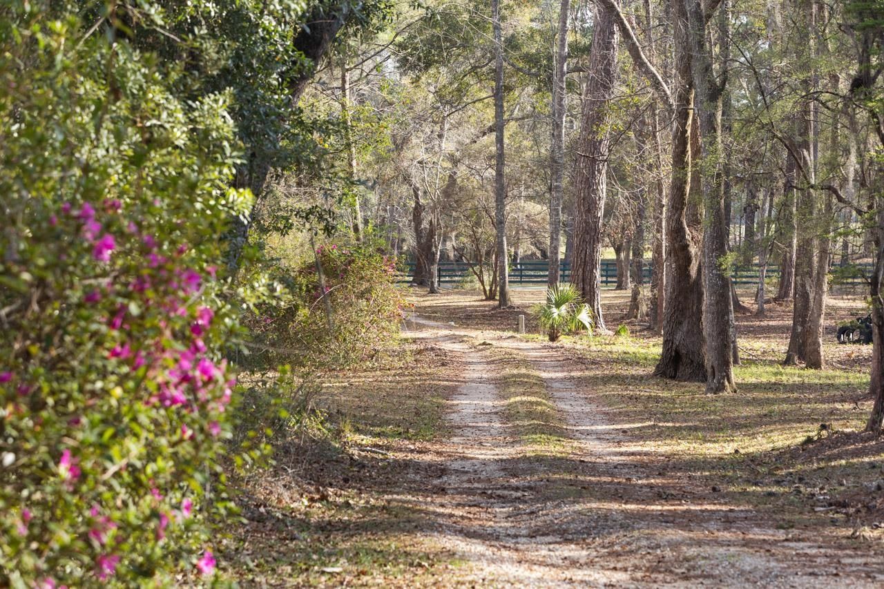 398 Tecumseh Road, Monticello, FL 32344 Photo