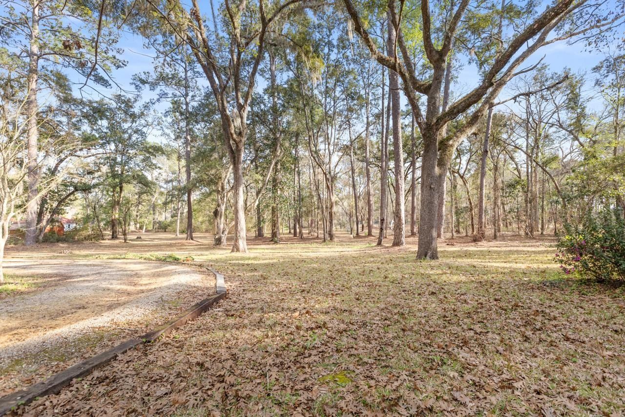 398 Tecumseh Road, Monticello, FL 32344 Photo