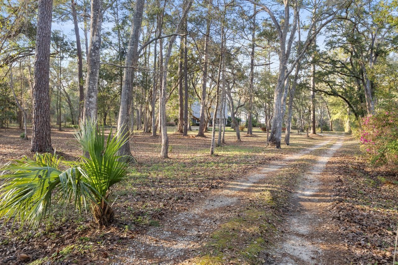 398 Tecumseh Road, Monticello, FL 32344 Photo