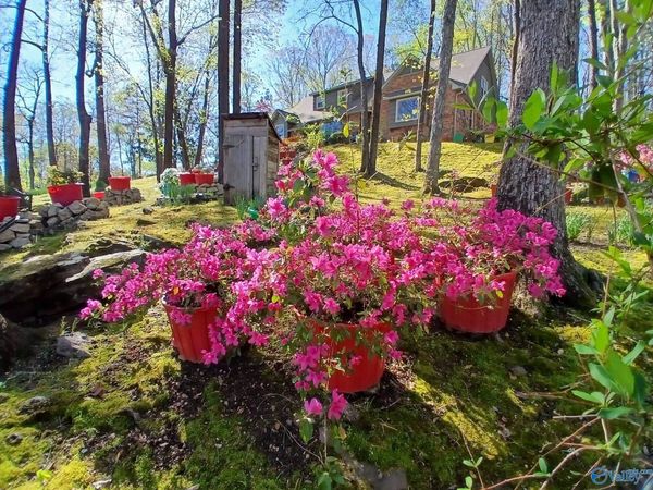 3702 Montevallo Road SW, Decatur, AL 35603