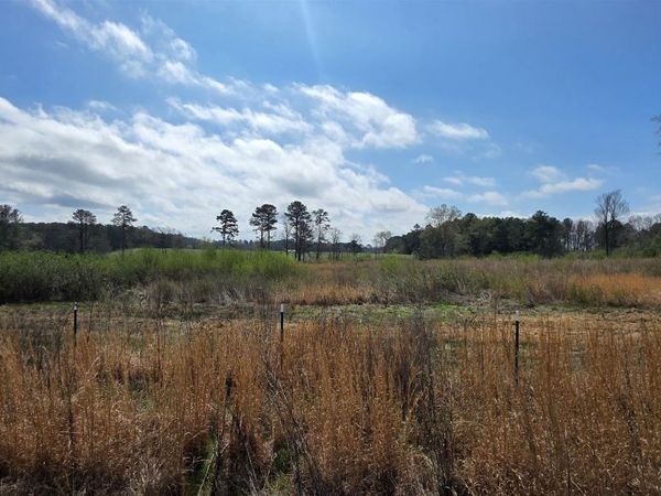 13.51 County Road 107, Gaylesville, AL 35973