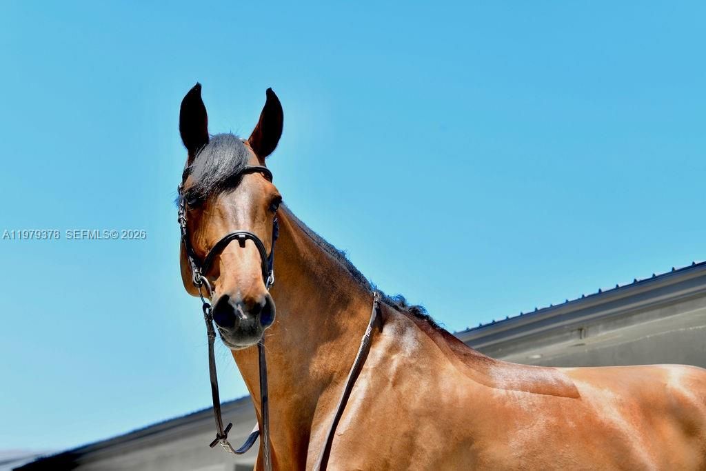 2625 SW 148th Ave, Davie, FL 33331 Photo