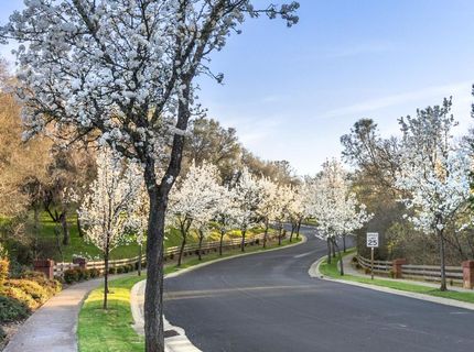 3835 Deer Ridge Ln, Auburn, CA 95602 Photo