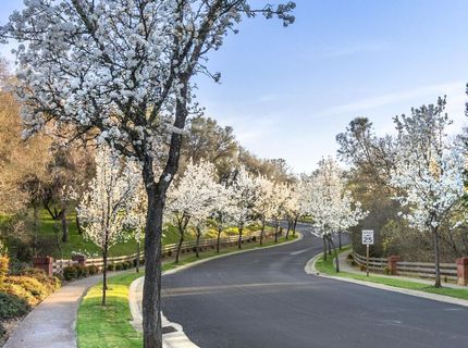 3835 Deer Ridge Ln, Auburn, CA 95602 Photo