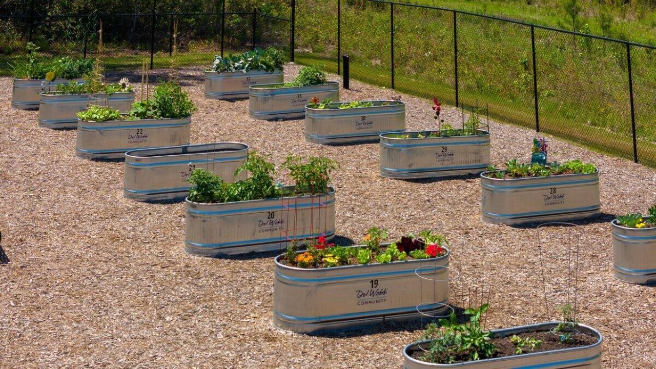 108 Cardinal Cove Lane Photo 78