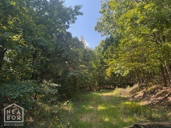 74250 Greene 742 Road, Paragould, AR 72450