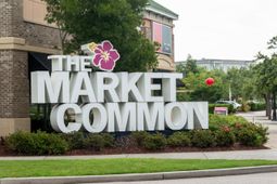 3344 Pampas Dr. photo 4