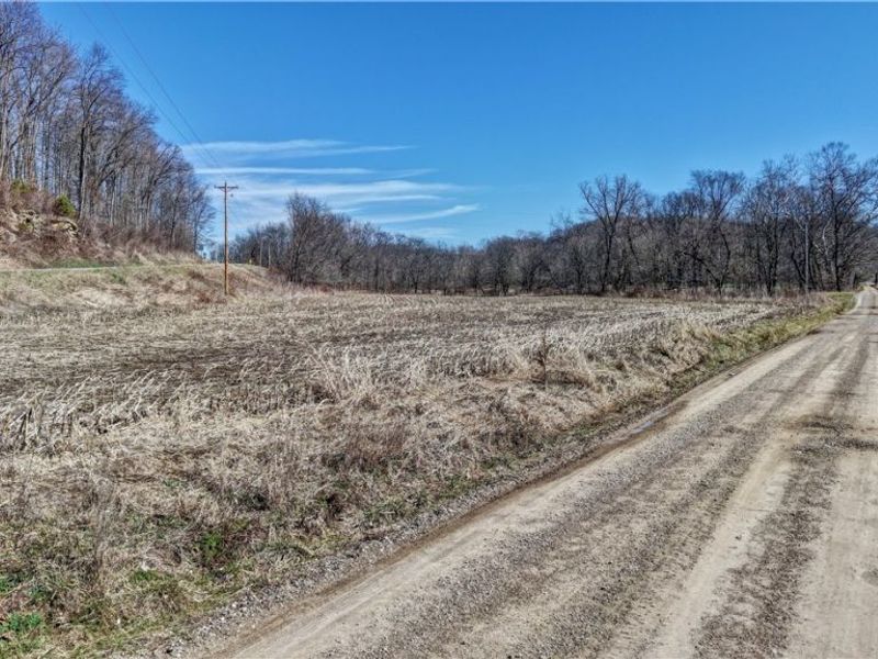 49870 Township Road 189, Fresno, OH 43824 Photo 5