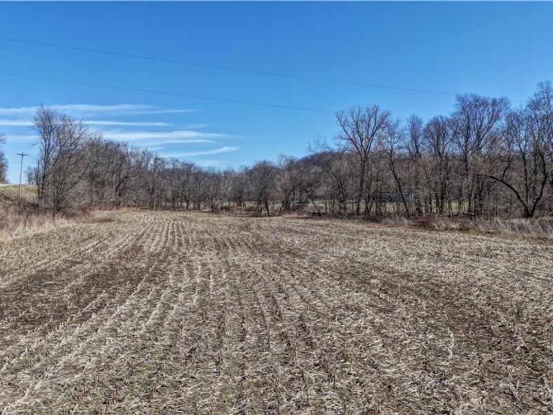 49870 Township Road 189, Fresno, OH 43824 Photo 6