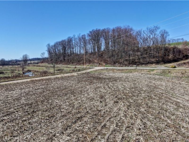 49870 Township Road 189, Fresno, OH 43824 Photo 7