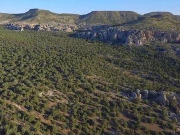 XXXXX S Knight Creek Road, Unit 3, Kingman, AZ 86401