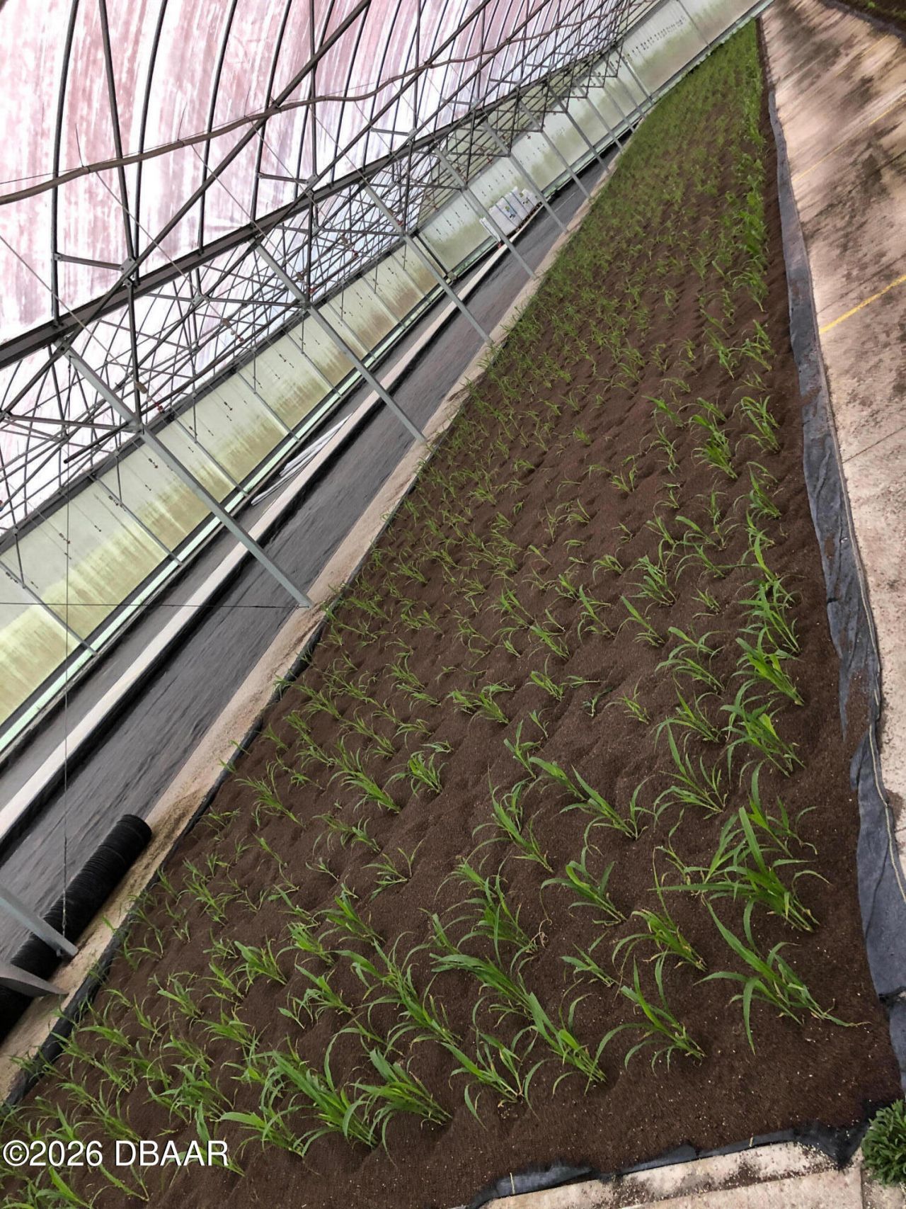 1065 S Massachusetts Avenue, Deland, FL 32724 Photo