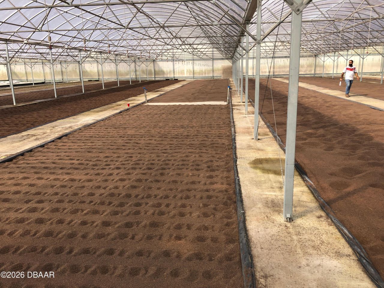 1065 S Massachusetts Avenue, Deland, FL 32724 Photo