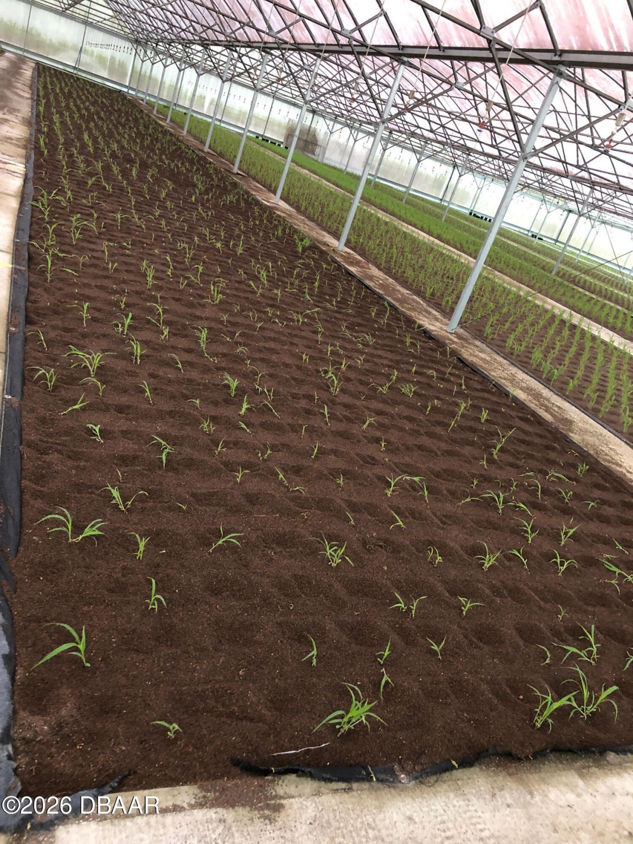 1065 S Massachusetts Avenue, Deland, FL 32724 Photo