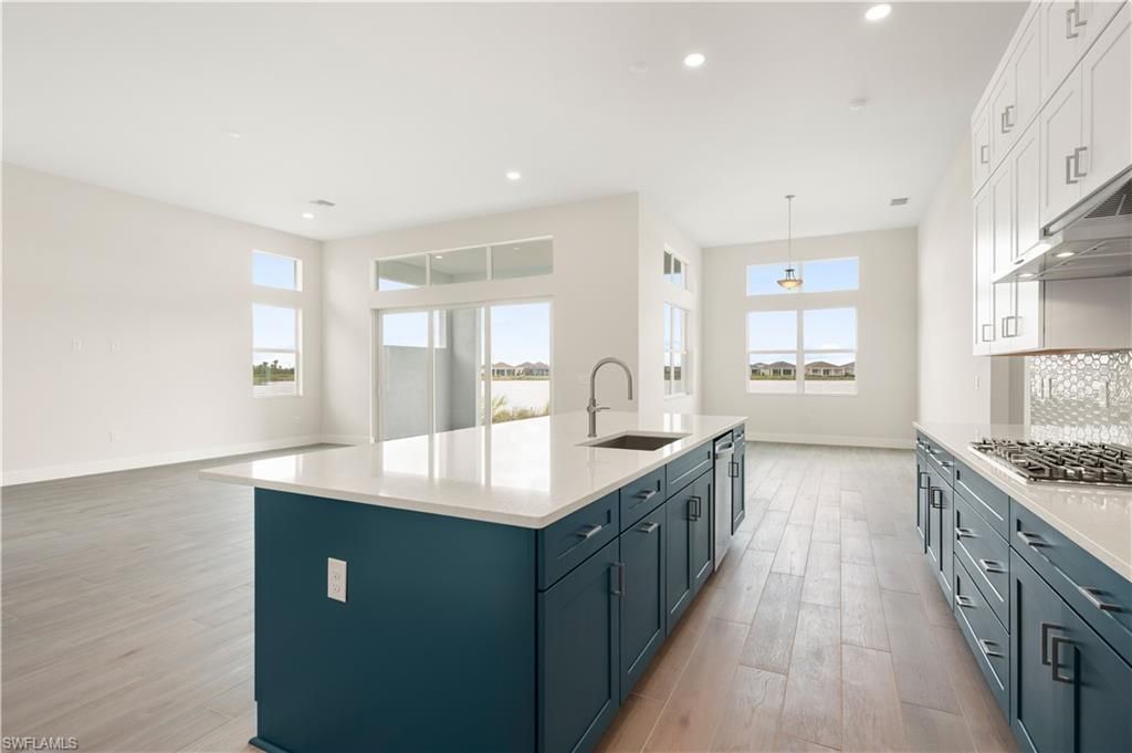 44565 Little Blue Heron Way, Punta Gorda, FL 33982 Photo