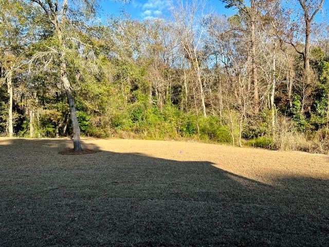 710 Spark Street Photo 33