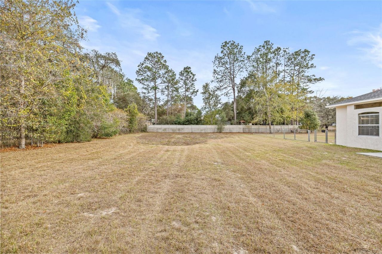 13186 Coronado Drive, Spring Hill, FL 34609 Photo